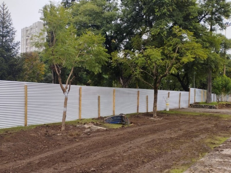 Reubican árboles por las obras en la Plaza Cívica