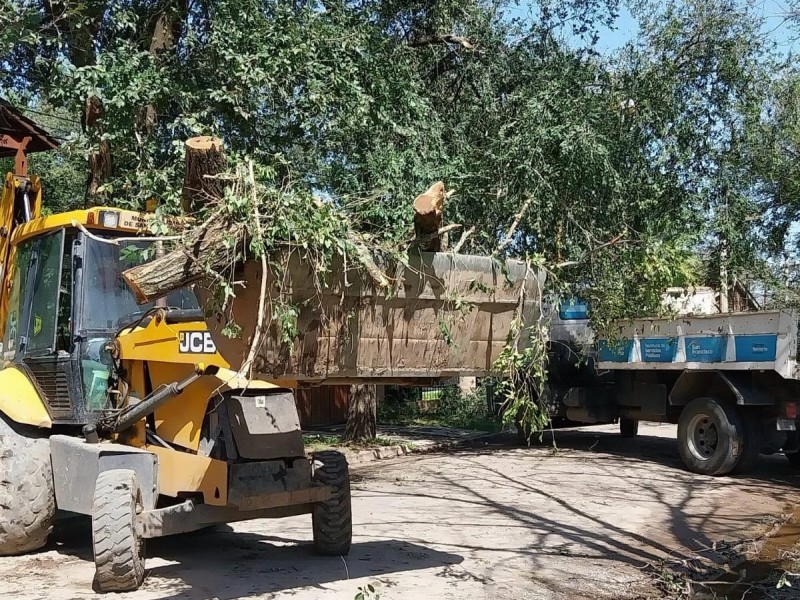 El municipio sigue con la remoción de árboles y ramas que dejó el temporal