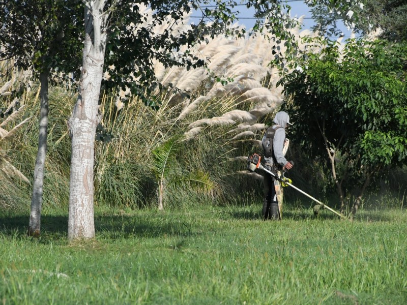 Continúan las tareas de desmalezamiento y limpieza de espacios verdes