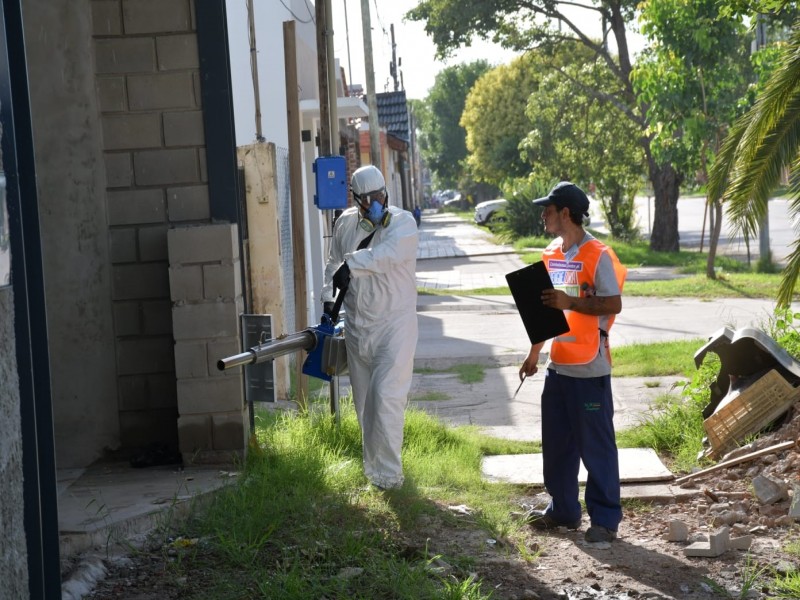 Lucha contra el dengue: La municipalidad intervino en más de 7.000 domicilios