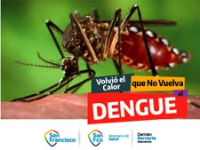 Dengue