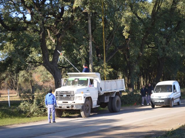 Poda en distintos sectores de la ciudad