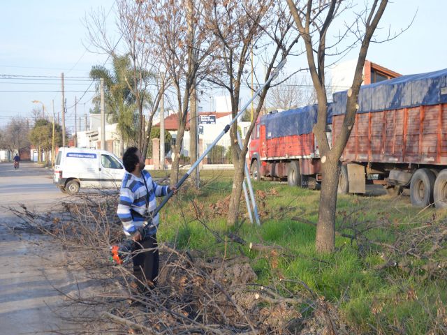 Poda en distintos sectores de la ciudad