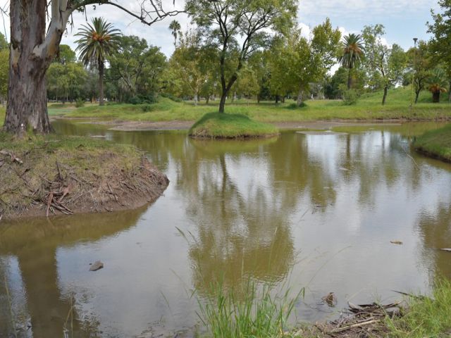Siembran peces larvívoros en Bº Parque para culminar campaña contra Dengue, Zika y Chicungunya