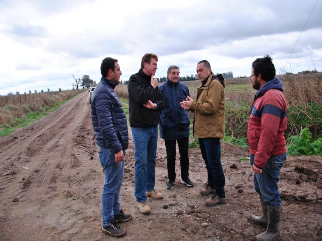 La Dirección Provincial de Vialidad retomó los trabajos en Av. de los Inmigrantes