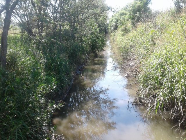 Se intensifica la limpieza de canales de desagües pluviales
