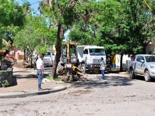 Continúa la recolección de ramas y troncos que dejó el temporal en la ciudad
