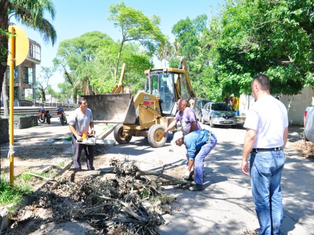 Continúa la recolección de ramas y troncos que dejó el temporal en la ciudad