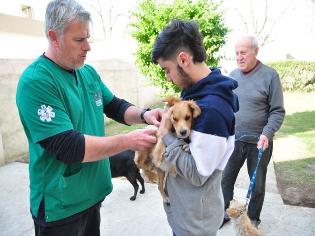 Ya son más de 700 mascotas vacunadas contra la rabia