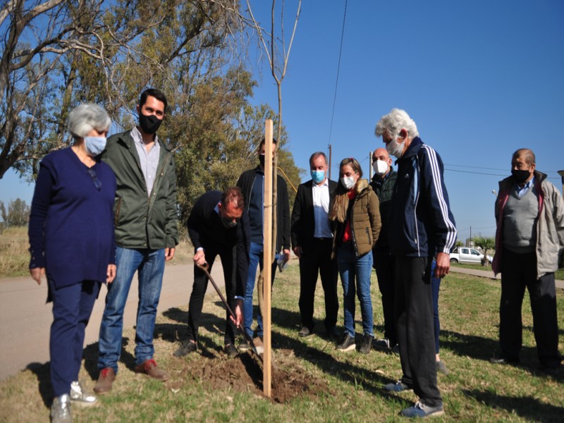 Se plantaron nuevas especies en la Plaza de los Abuelos