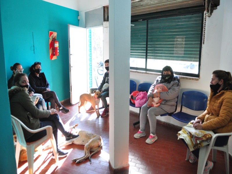 El municipio superó las 20.000 castraciones y esterilizaciones gratuitas de mascotas